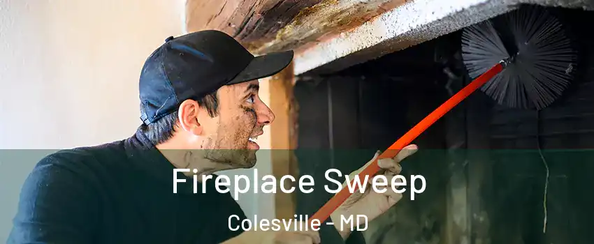  Fireplace Sweep Colesville - MD