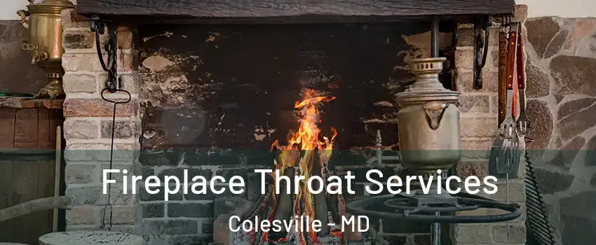  Fireplace Throat Services Colesville - MD