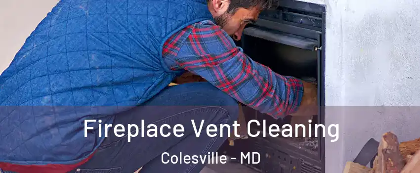  Fireplace Vent Cleaning Colesville - MD