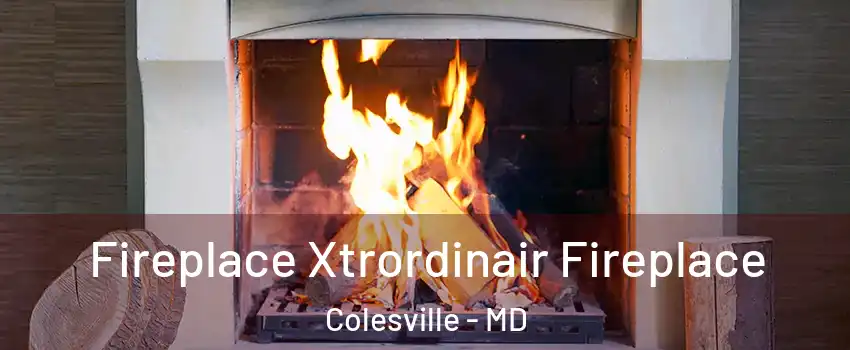  Fireplace Xtrordinair Fireplace Colesville - MD
