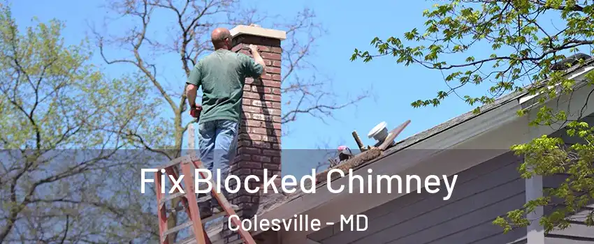  Fix Blocked Chimney Colesville - MD