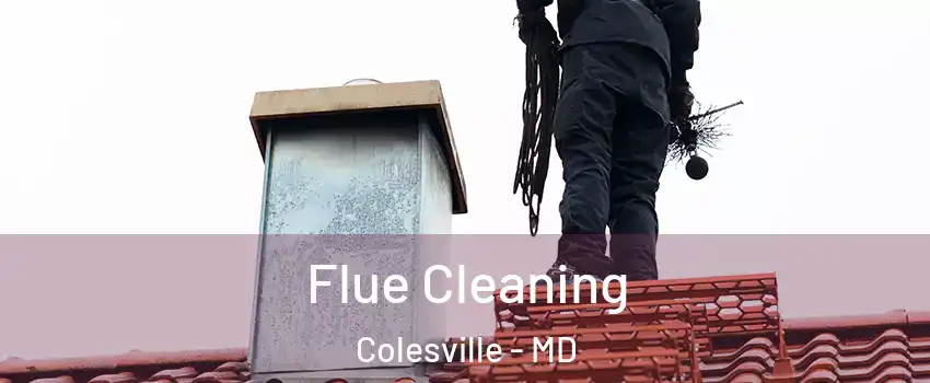  Flue Cleaning Colesville - MD