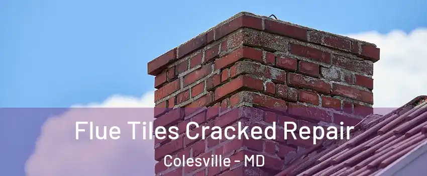  Flue Tiles Cracked Repair Colesville - MD