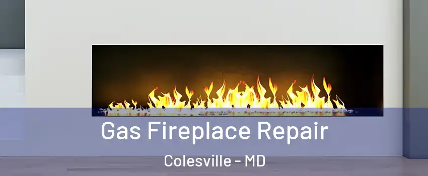  Gas Fireplace Repair Colesville - MD