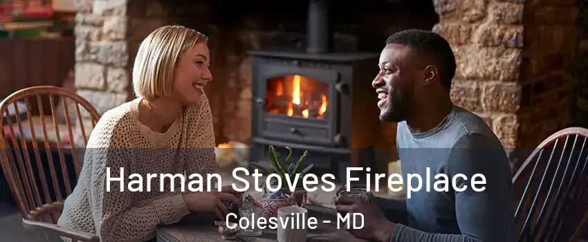  Harman Stoves Fireplace Colesville - MD