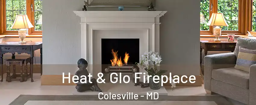  Heat & Glo Fireplace Colesville - MD