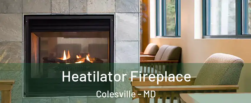  Heatilator Fireplace Colesville - MD