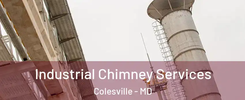  Industrial Chimney Services Colesville - MD