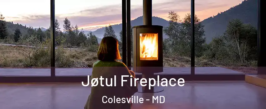  Jøtul Fireplace Colesville - MD