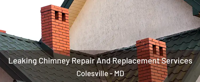  Leaking Chimney Repair And Replacement Services Colesville - MD