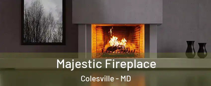  Majestic Fireplace Colesville - MD