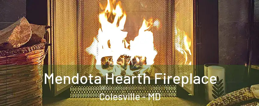  Mendota Hearth Fireplace Colesville - MD