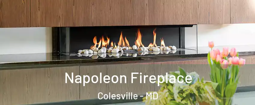  Napoleon Fireplace Colesville - MD