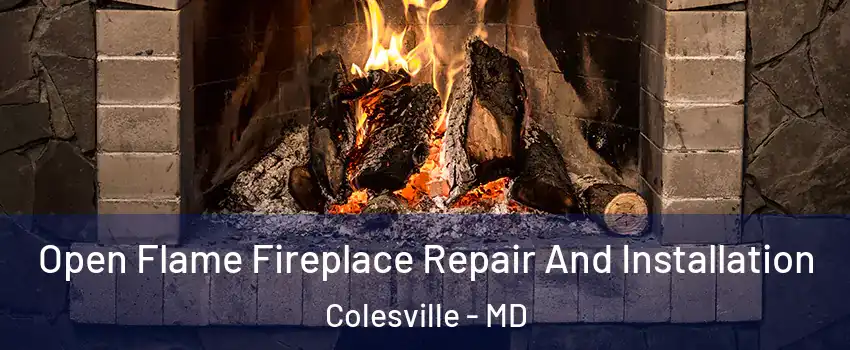  Open Flame Fireplace Repair And Installation Colesville - MD