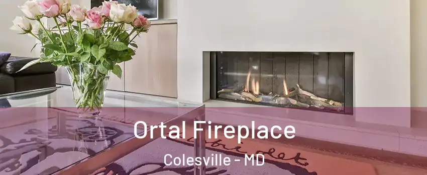 Ortal Fireplace Colesville - MD