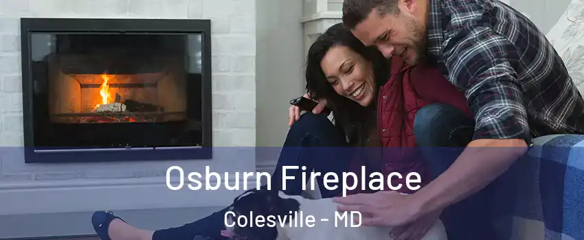  Osburn Fireplace Colesville - MD