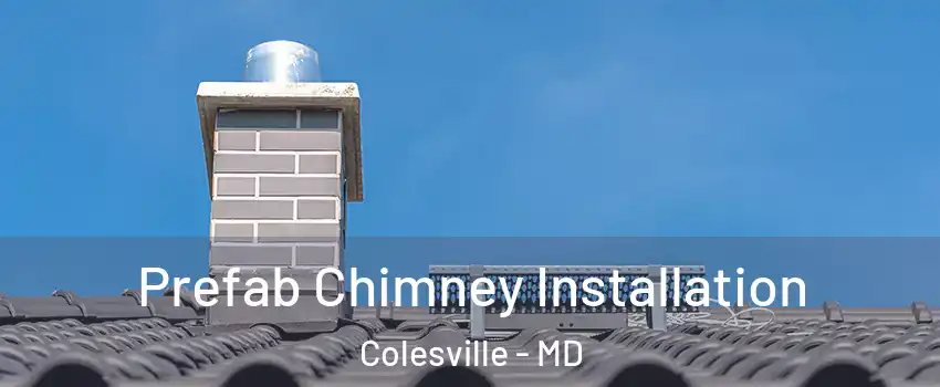  Prefab Chimney Installation Colesville - MD
