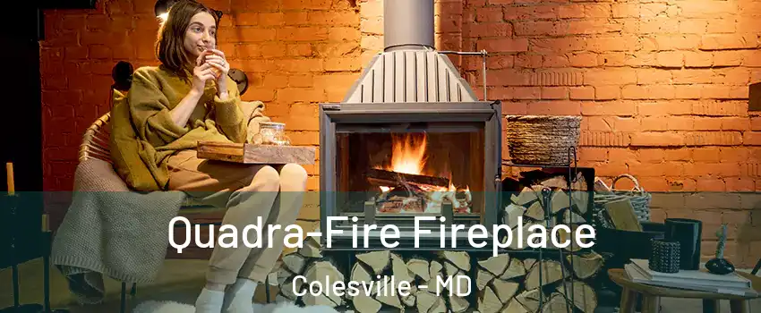  Quadra-Fire Fireplace Colesville - MD
