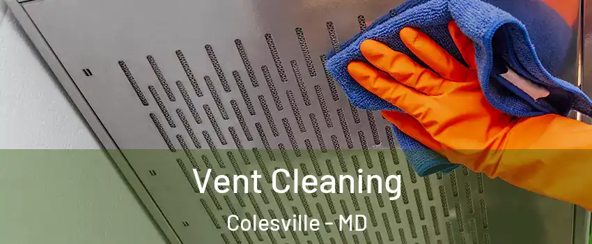  Vent Cleaning Colesville - MD
