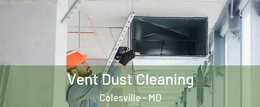  Vent Dust Cleaning Colesville - MD