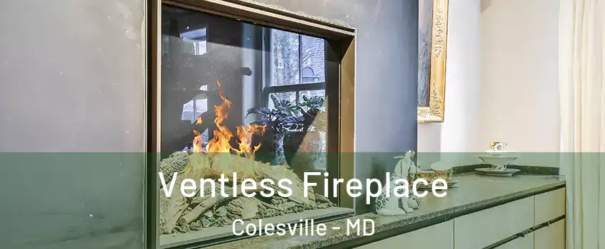  Ventless Fireplace Colesville - MD