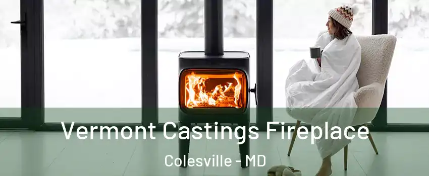  Vermont Castings Fireplace Colesville - MD